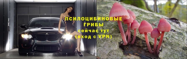 хмурый Абаза