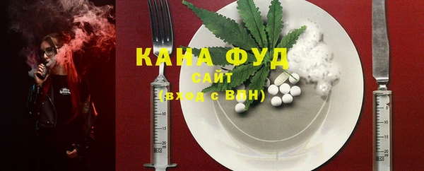 хмурый Абаза