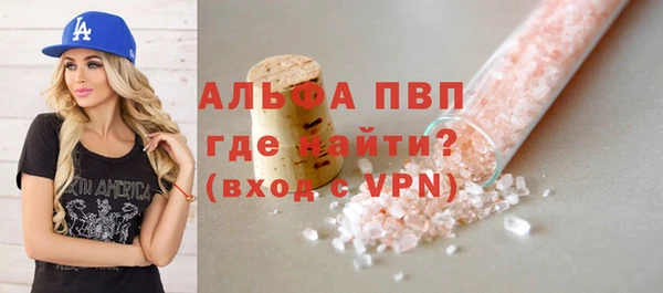 хмурый Абаза