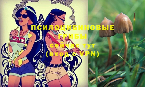 тгк Абинск