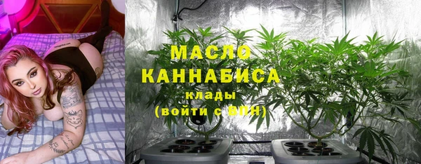 хмурый Абаза