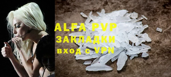 хмурый Абаза