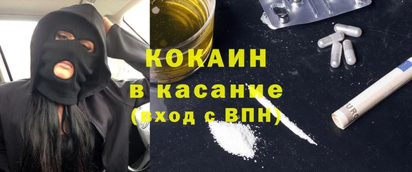 хмурый Абаза
