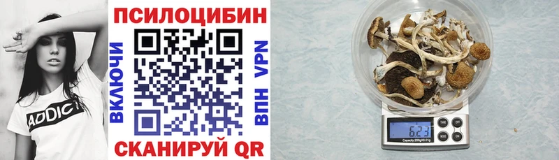 Псилоцибиновые грибы Psilocybe  Альметьевск 